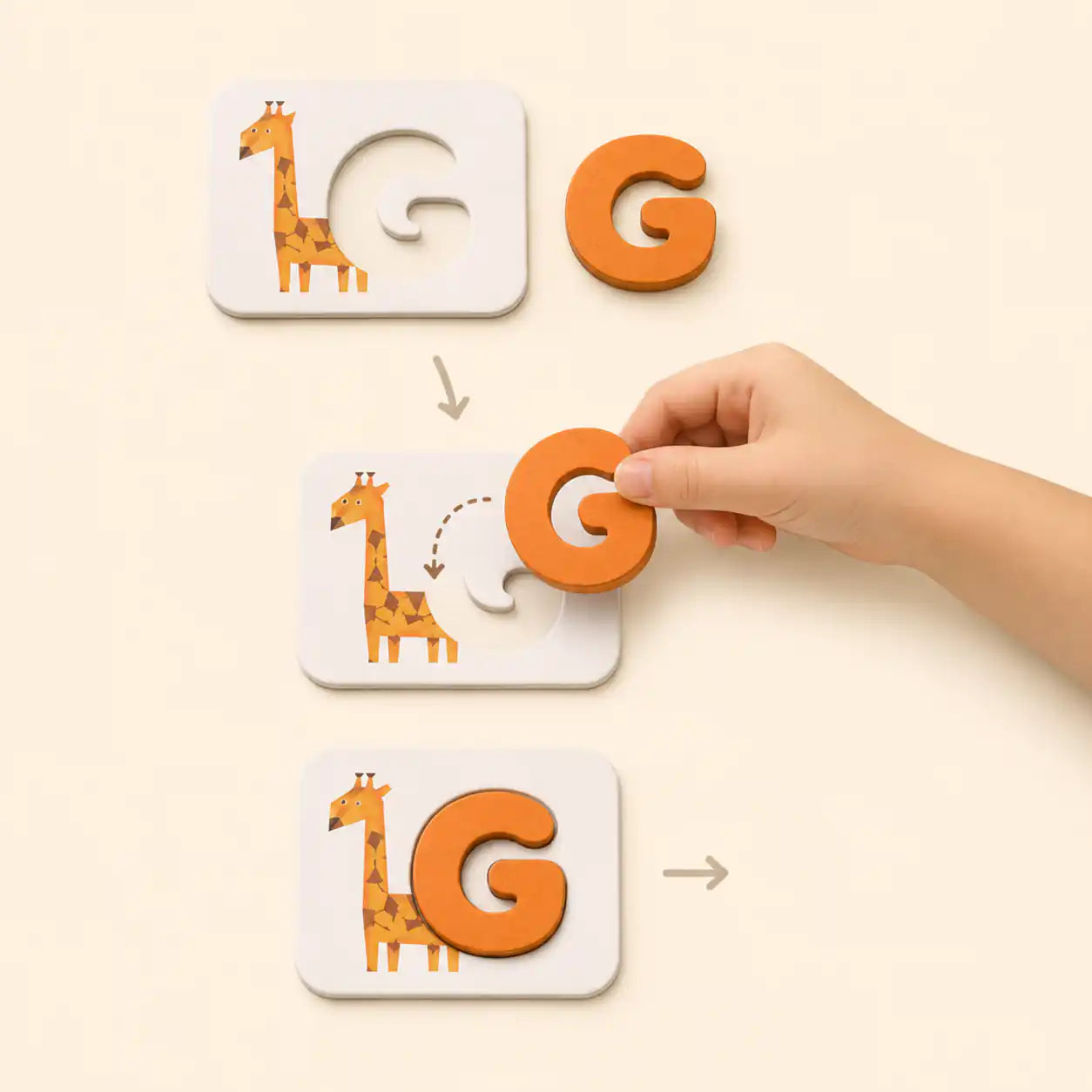 Step-by-step view of fitting the wooden G letter into the giraffe alphabet flashcard