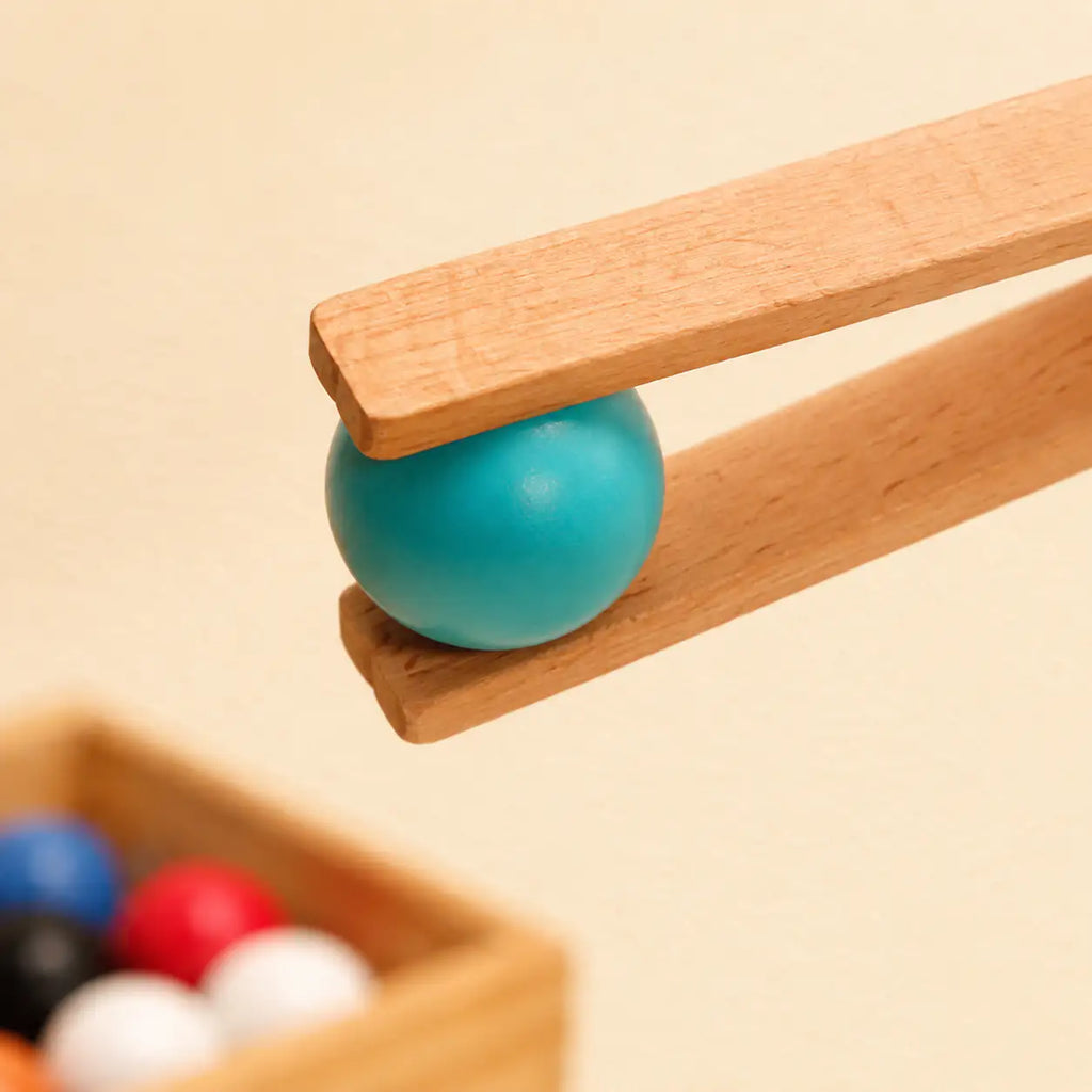 12 colored wooden balls sorted into matching cups on the wooden lion color sorter tray