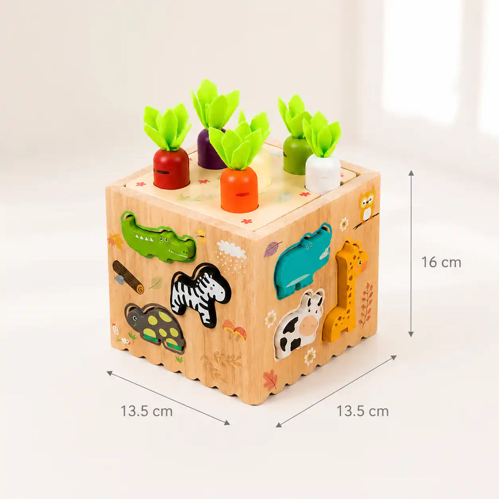 Wooden Montessori activity cube with carrot harvest top, animal shape sorter sides, and dimensions of 13.5 by 13.5 by 16 centimeters